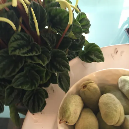 Quai 17 4* Strazburg