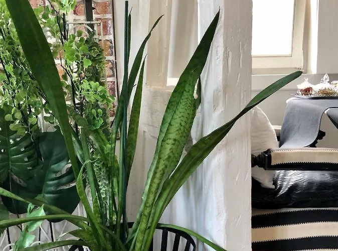 ベッド・アンド・ブレックファスト Quai 17 ストラスブール