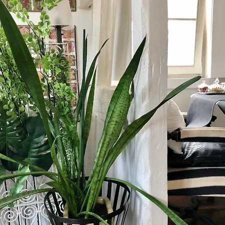 Bed & Breakfast Quai 17 Strasbourg