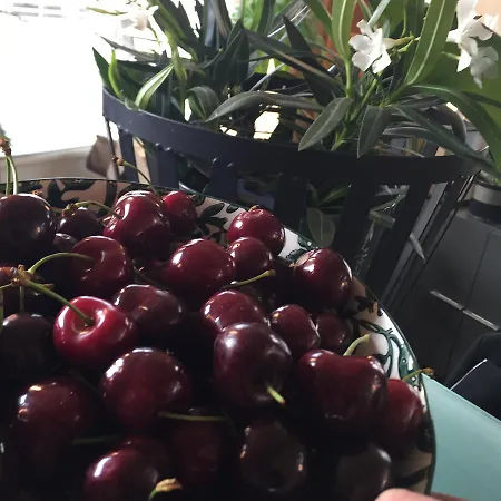 Quai 17 B&B 스트라스부르