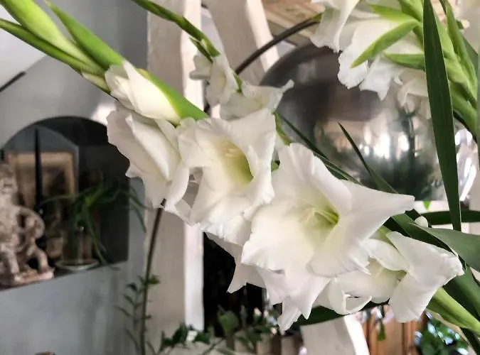 Bed & Breakfast Quai 17 4*