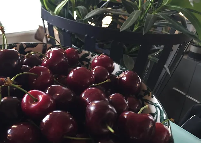 Quai 17 Bed & Breakfast Straatsburg