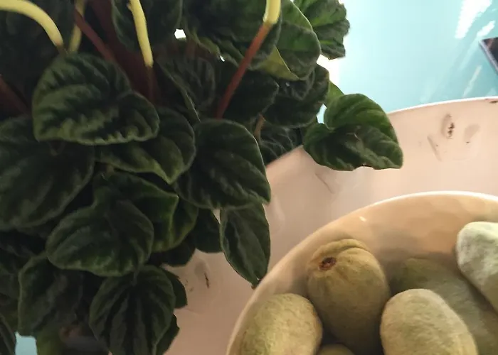 Quai 17 4* Straatsburg